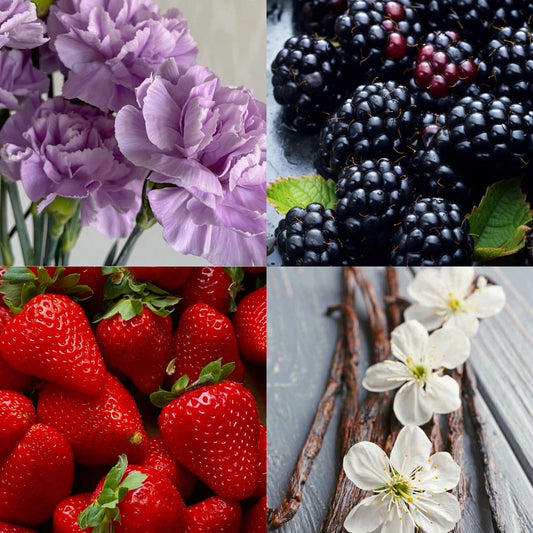 HAVEN - INSPIRED BY BURBERRY HER